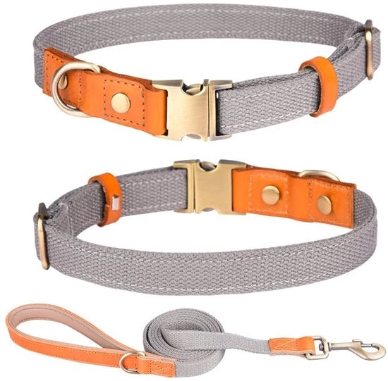 Cinturone per Cani Adattabile - Lunghezza 150 cm - Materiale Nylon Pelle - Cerniera in Acciaio Inossidabile - Respira e Leggero