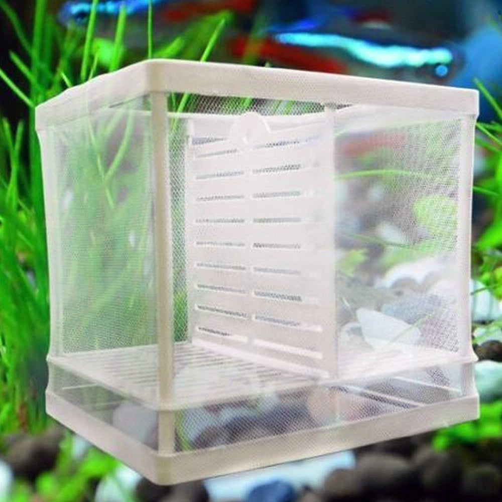 Trade Shop - Cassetta Per Acquario Allevamento Separa Pesci Proteggi Uova Incubatrice Piccola -