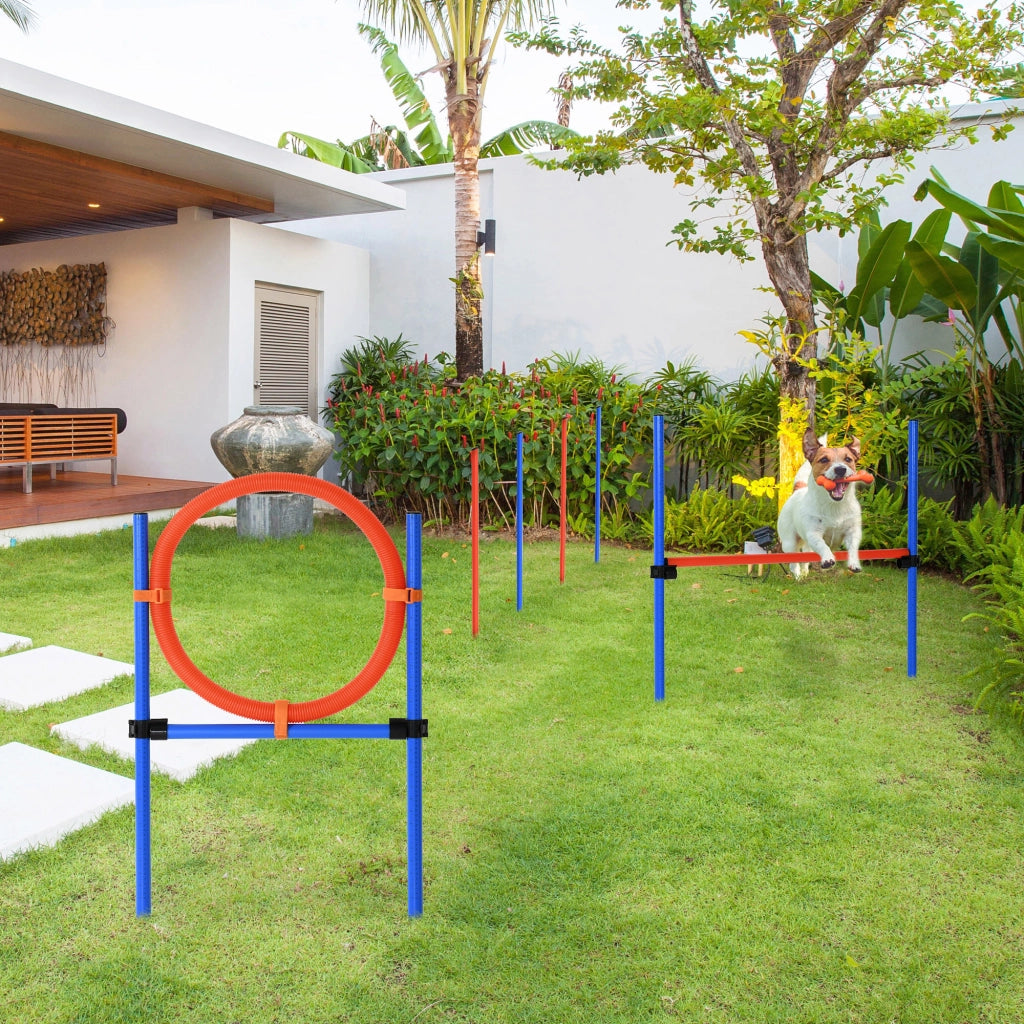 Set Addestramento Agility per Cani 3 in 1 ¨C Xylo ¨C Ostacoli Slalom Cerchio Salto Blu Rosso