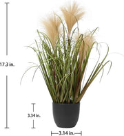 Pampas Artificiale Decorativo Pianta d'Arte in Fibra di Vetro in Vaso di Plastica Nero