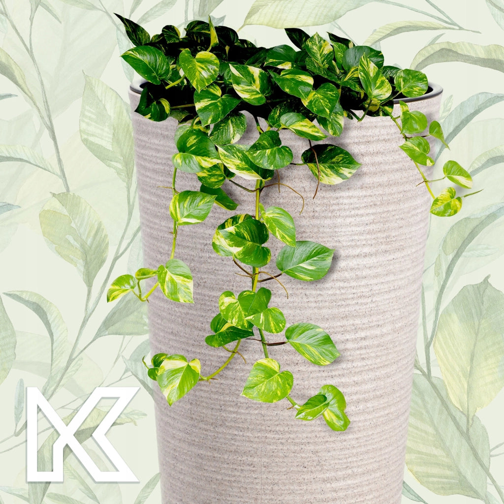 Set di 3 vasi da fiori KADAX, vasi da giardino + inserti, alti e grandi, beige, 37+47+57 cm