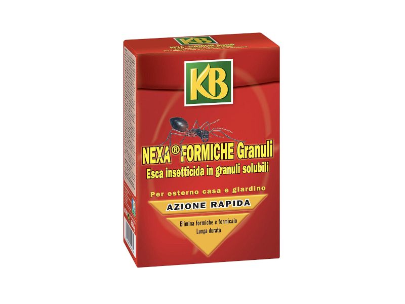 Insetticida Nexa formiche granuli per formicai 250g e 800g KB - 800 g