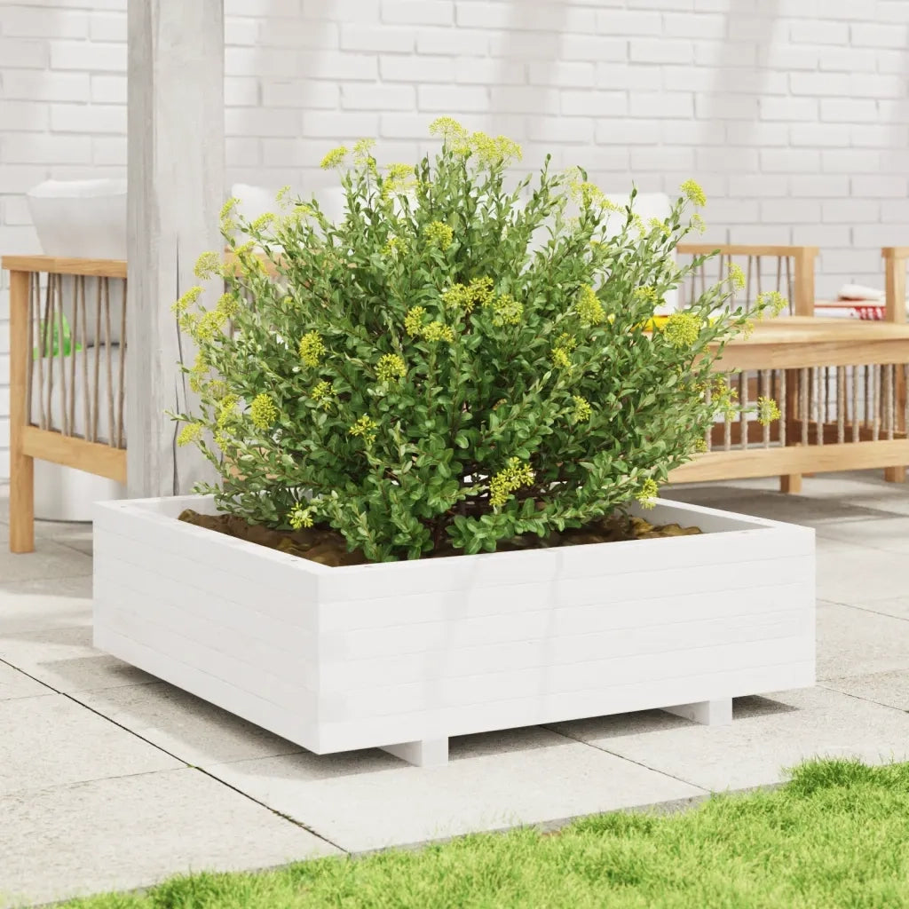 Fioriera da Giardino-Vaso da Esterno Bianca 80x80x26,5cm Legno Massello di Pino