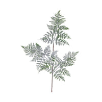 TRALCIO FELCE INNEVATE CM.75