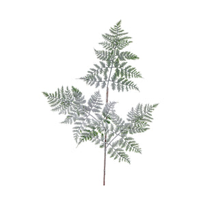 TRALCIO FELCE INNEVATE CM.75