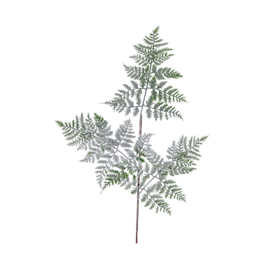 TRALCIO FELCE INNEVATE CM.75