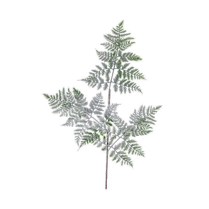 TRALCIO FELCE INNEVATE CM.75