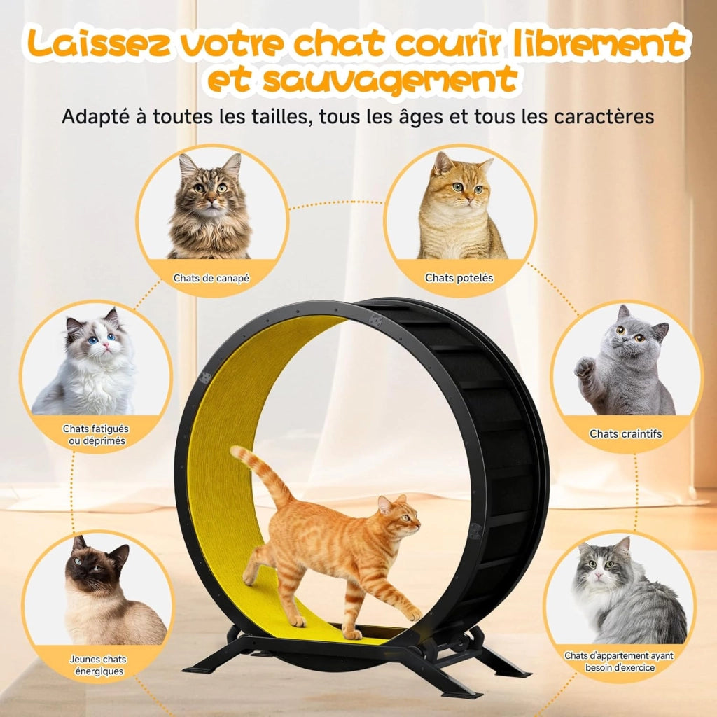 Ruota per gatti, ruota per esercizi per gatti, XL- 100 cm, ultra silenziosa con tappetino rimovibile, adesivi, sistema di bloccaggio, metallo, giallo, regali per il vostro gatto