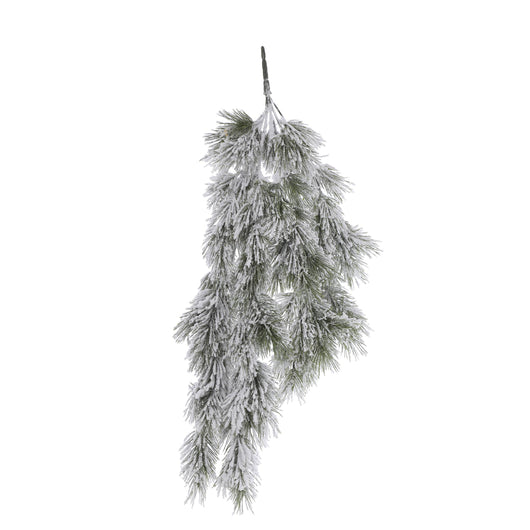 CASCANTE DI PINO INNEVATO