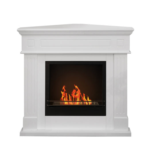 Camino a bioetanolo Ford Bianco