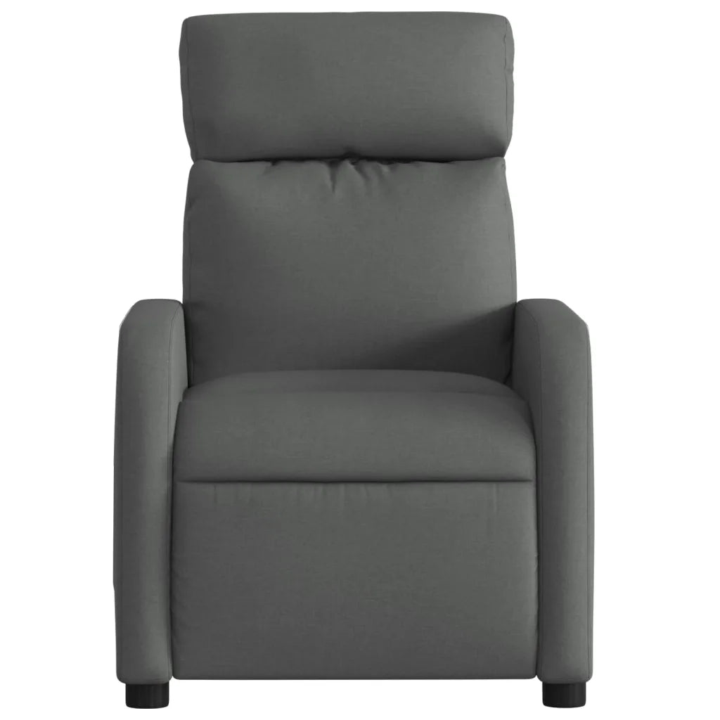 Divano Sedia-Poltrona Reclinabile in Tessuto Grigio Scuro 904648