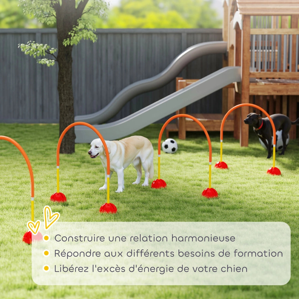 Kit Agilita' per Cani con 4 Porte Regolabili ¨C zephmum ¨C Giallo e Arancione