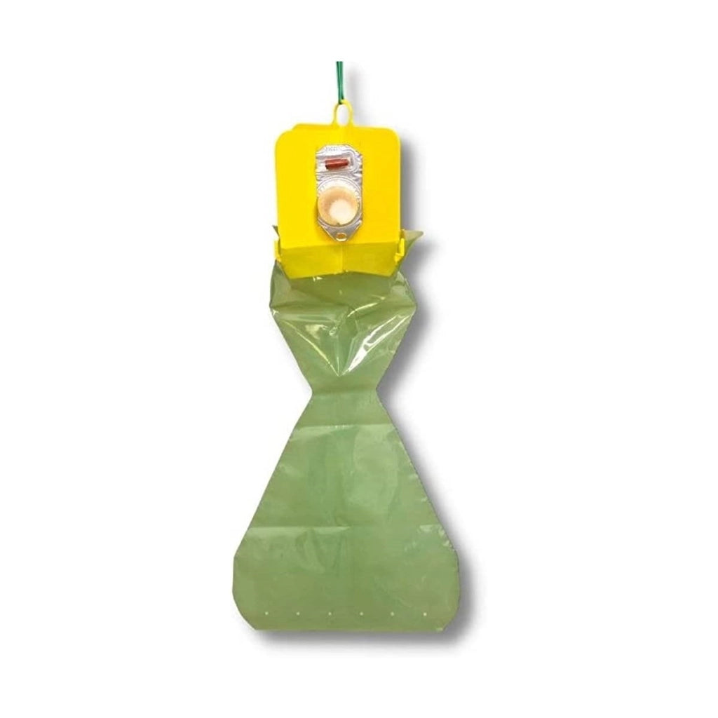 Trappola per popillia japonica cromotropica con feromone | Pherocon Popillia