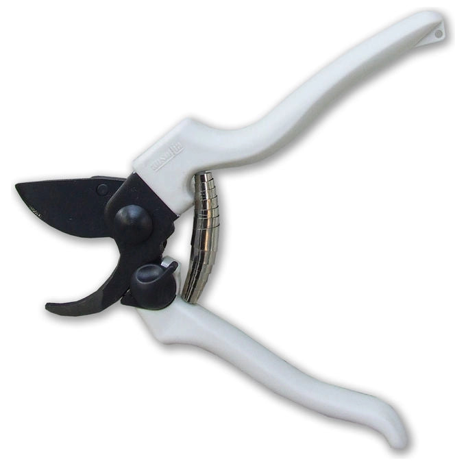 Ausonia 31145 Forbice Vigna 19cm Teflon