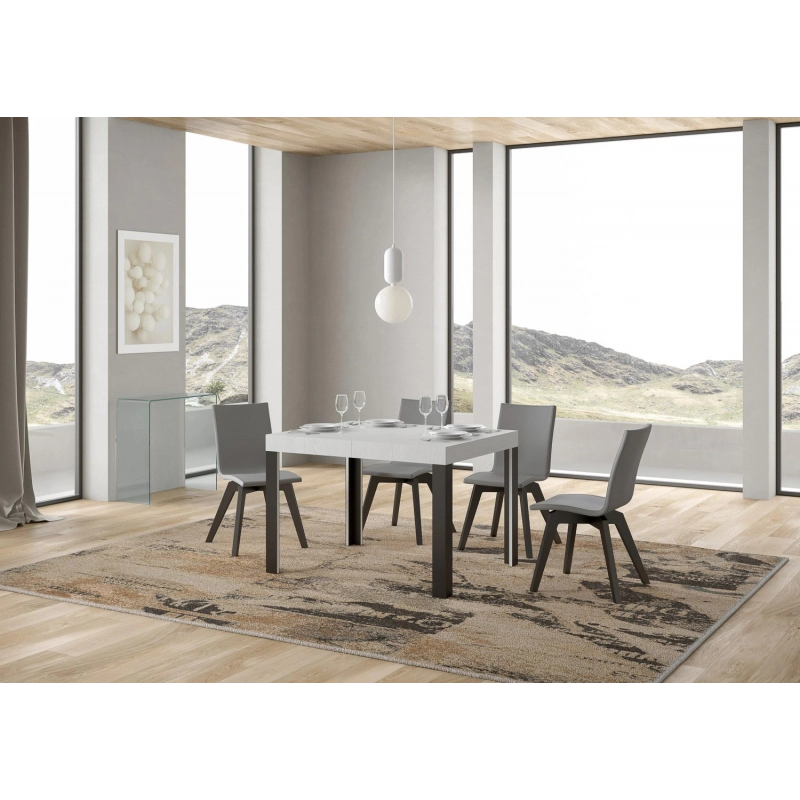 Tavolo allungabile 80x120/204 cm Linea telaio Antracite - Bianco Frassino