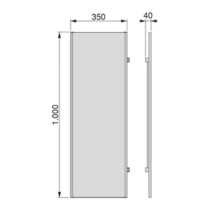 Specchio Estraibile per Armadio 34x100 cm Emuca Grigio Metallizzato