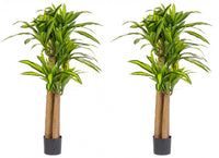 Set 2 Piante Artificiali Dracaena Ø110x150 cm in Plastica con Vasi Verde