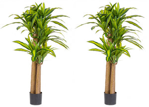 Set 2 Piante Artificiali Dracaena Ø110x150 cm in Plastica con Vasi Verde