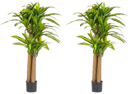 Set 2 Piante Artificiali Dracaena Ø110x150 cm in Plastica con Vasi Verde