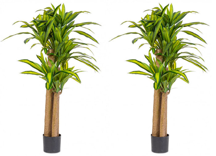 Set 2 Piante Artificiali Dracaena Ø110x150 cm in Plastica con Vasi Verde