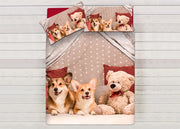 Parure Copripiumino Sacco Piumino Letto 100% Cotone Sogni D'oro Disegno Cani E Orsi Dis. 67 - Singolo - Cani E Orsi