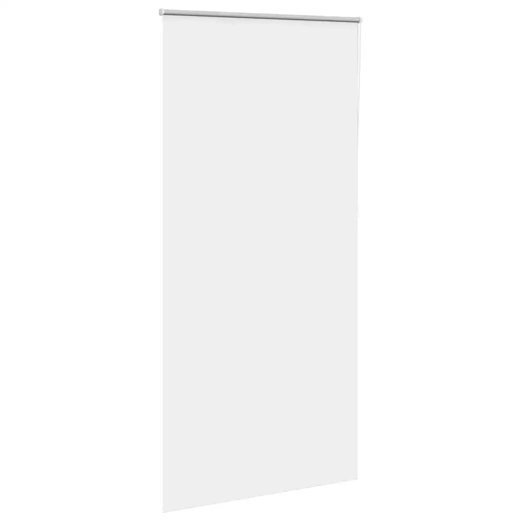 Tenda a Rullo Oscurante 95x210 cm Larghezza Tessuto 90,7 cm 4011959