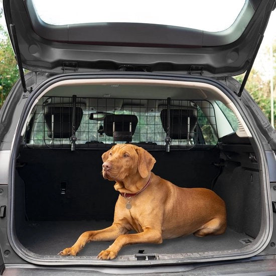 Sostegno per cani per auto - facile da installare - regolabile