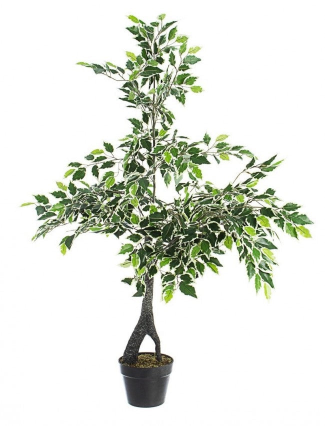 Set 2 Piante Artificiali di Ficus 120 h in Plastica con Vasi Verde
