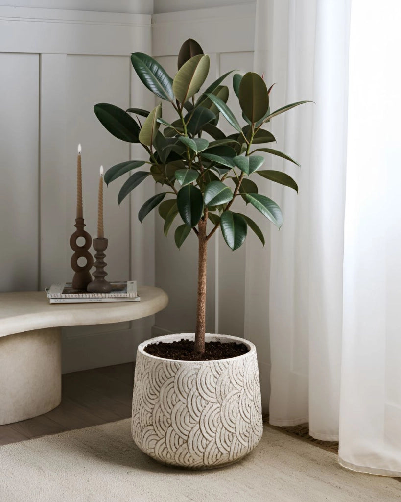 Vaso da fiori beige chiaro in fibra di argilla verniciata per interni ed esterni, rotondo, 31 x 31 x 29 cm alto design moderno soggiorno giardino