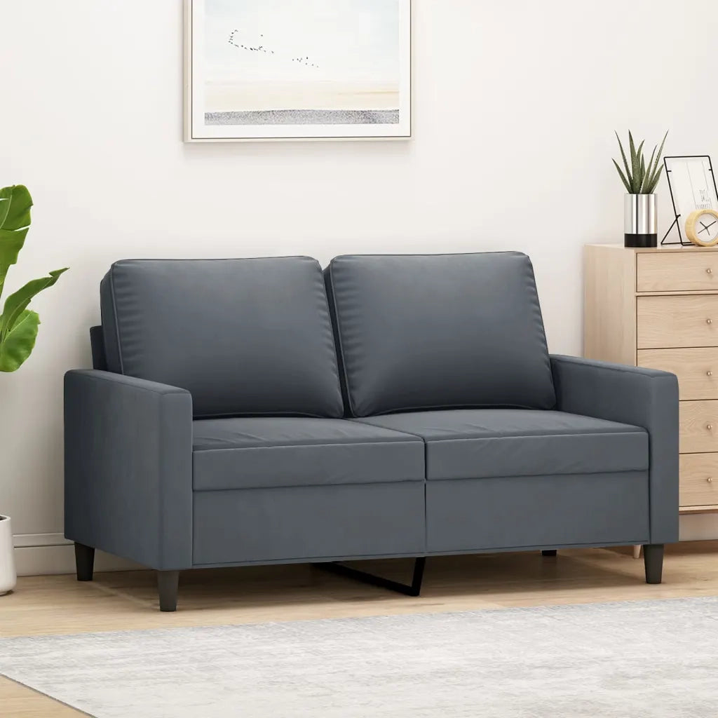 Divano | Divano da soggiorno | Sofa a 2 Posti grigio scuro 120 cm in Velluto