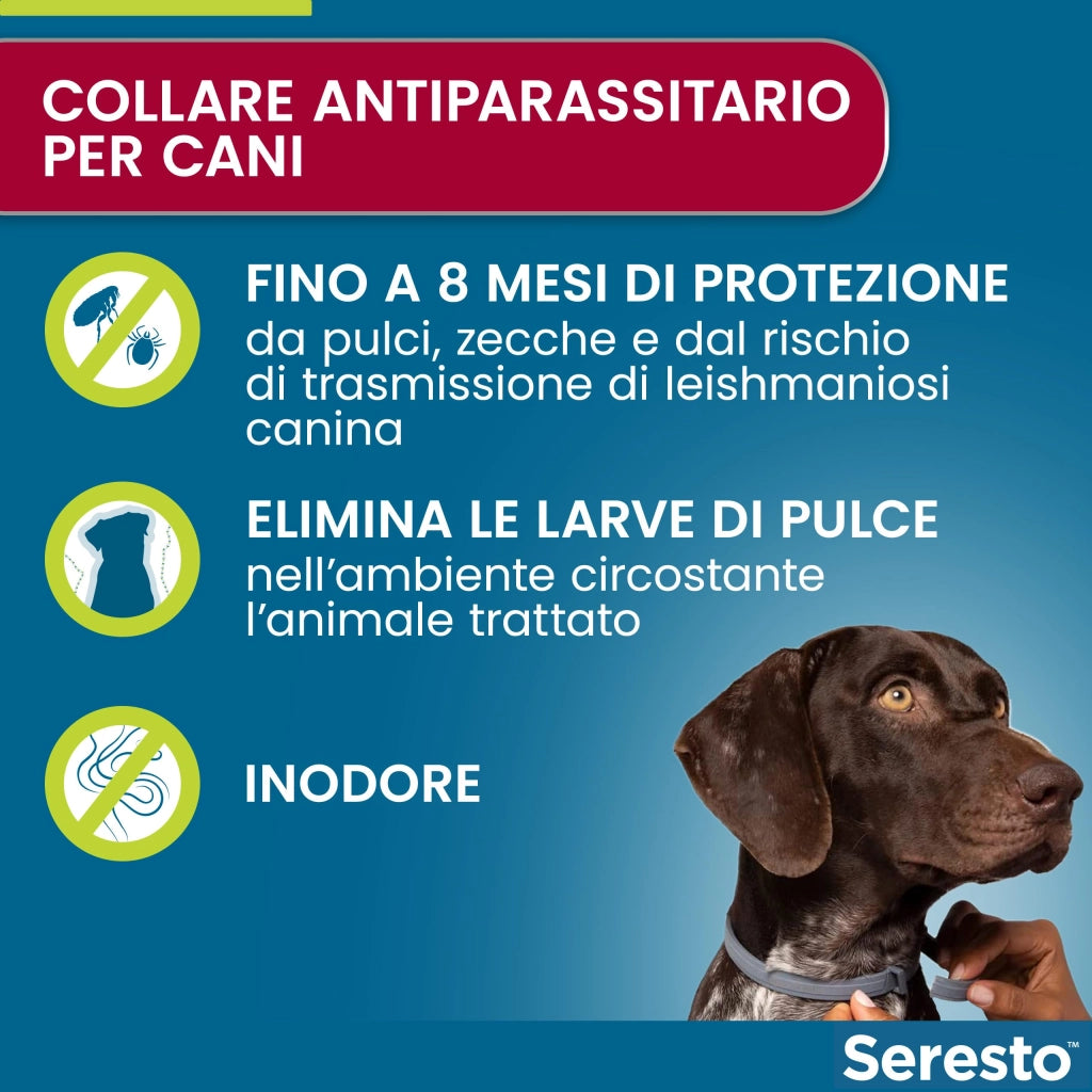 Bayer COLLARE ANTIPARASSITARIO SERESTO per cani fino a kg. 8 cm. 38