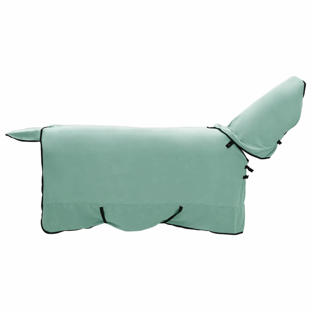 Coperta per Cavalli Verde speciale 155 cm Poliestere CFW3682655