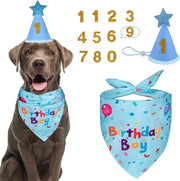 Feste di compleanno cane - Collare di compleanno cane con numeri - Cappello di compleanno cane - per grandi - medie e piccole dimensioni - blu