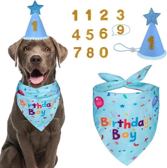 Feste di compleanno cane - Collare di compleanno cane con numeri - Cappello di compleanno cane - per grandi - medie e piccole dimensioni - blu