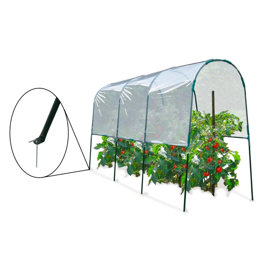 ProBache - Serra da giardino per pomodori 400 x 120 x 170 cm con telo trasparente + archi in acciaio