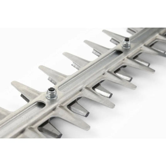 Tagliasiepi a scoppio AHT 55 Alpina