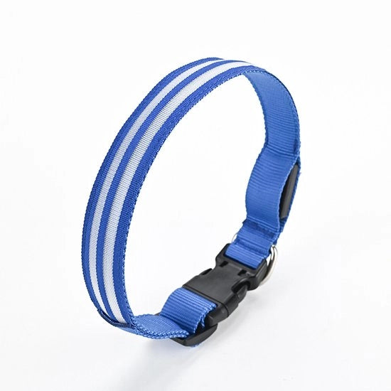 Collare per cani con illuminazione blu, illuminazione per animali domestici, collare per cani con illuminazione e ricarica