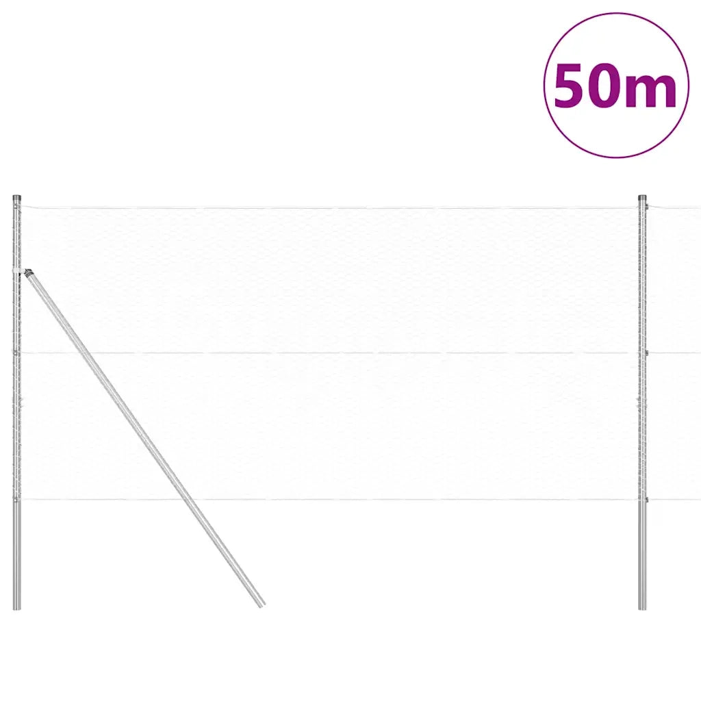 Palo della recinzione Argento 50 x 1,4 m (rete 25 mm) Acciaio
