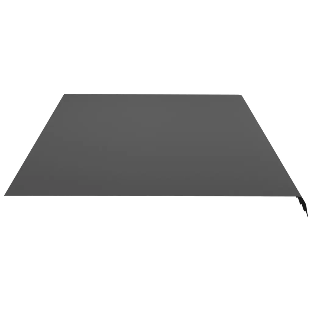 Tessuto di Ricambio per Tenda da Sole Antracite 600x350 cm Poliestere 311954