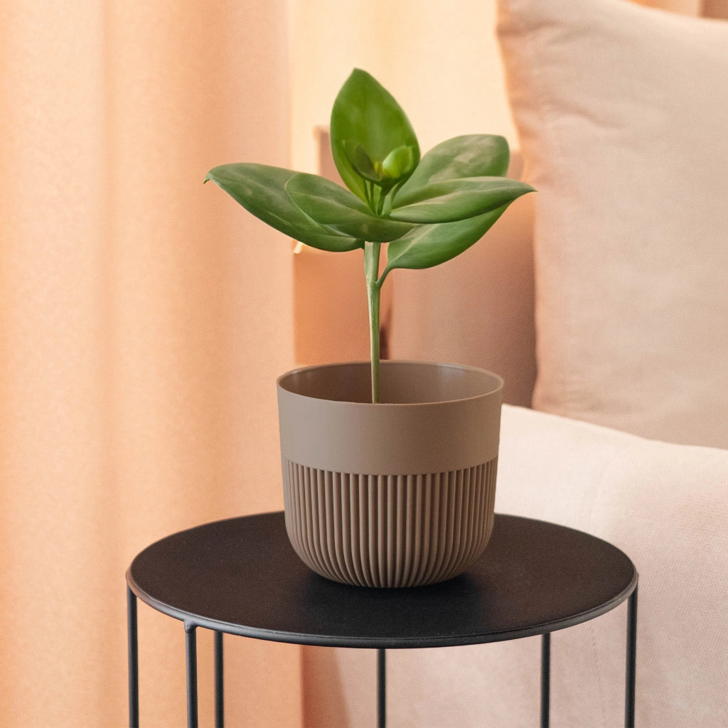 Vaso da fiori KADAX, Coprivaso, 15 cm, Plastica, Rotondo, A coste, Beige