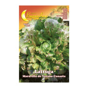 SEMI ORTO LATTUGA CANASTA- HORTUS SEMENTI- 10,0 pz