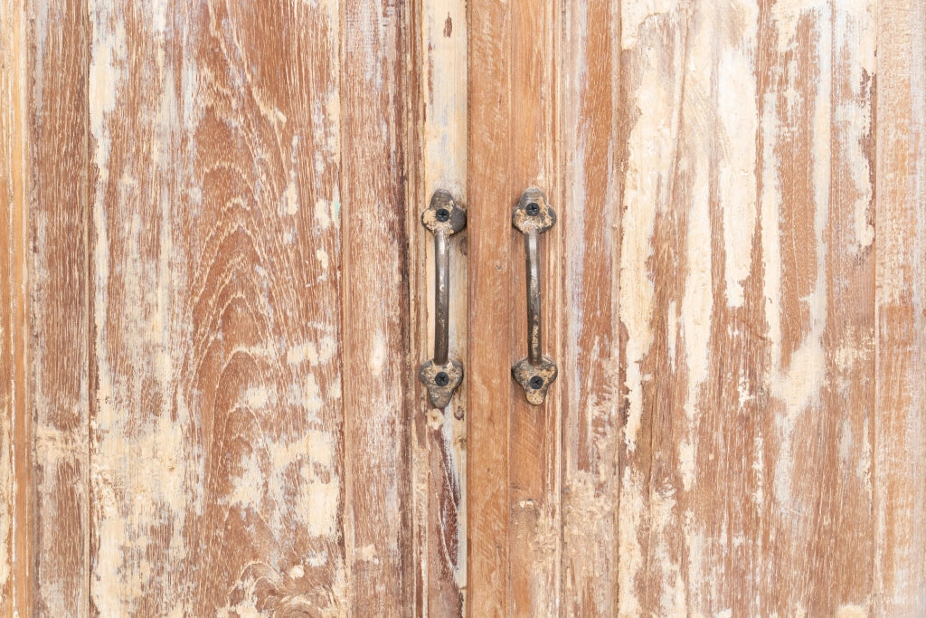 Biscottini Stipo Libreria in legno massiccio con porta antica