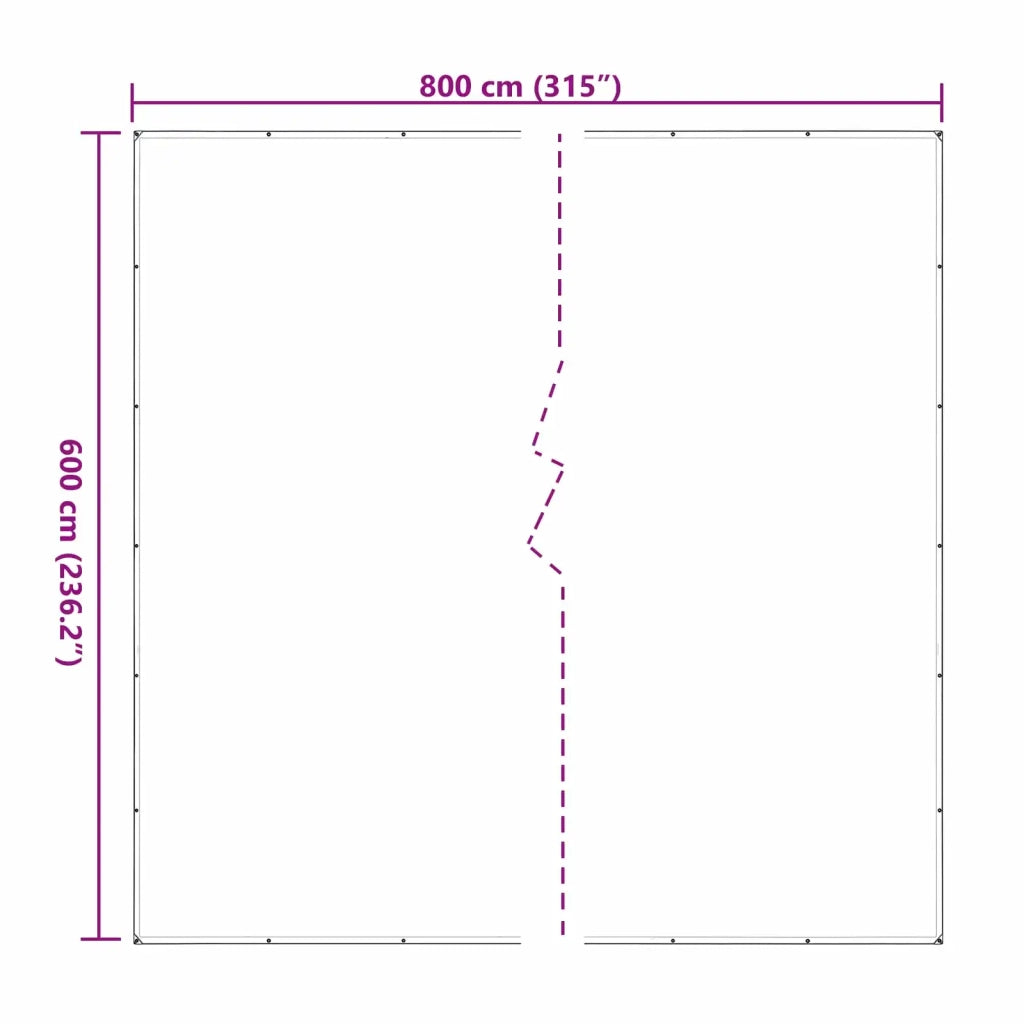 Copertura per Piante Trasparente 6 x 8 m PE CFW5813829
