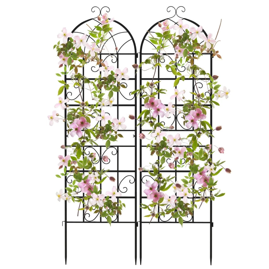 Set di 2 tralicci da giardino in metallo 180 x 50 cm supporto per piante rampicanti design da esterno in metallo nero 20_0012554