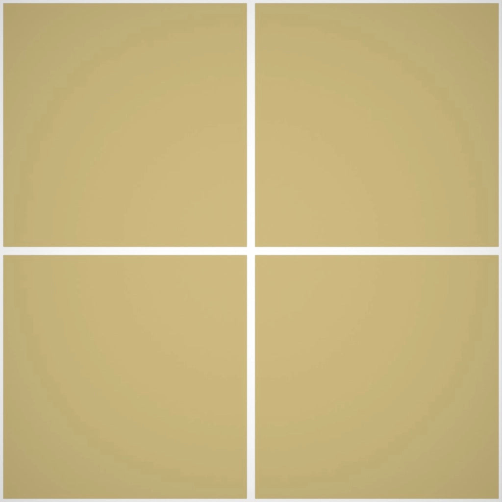 Pittura Murale Acril Silossanico Esterno - Rivestimenti Esterni B650 - Litri 5