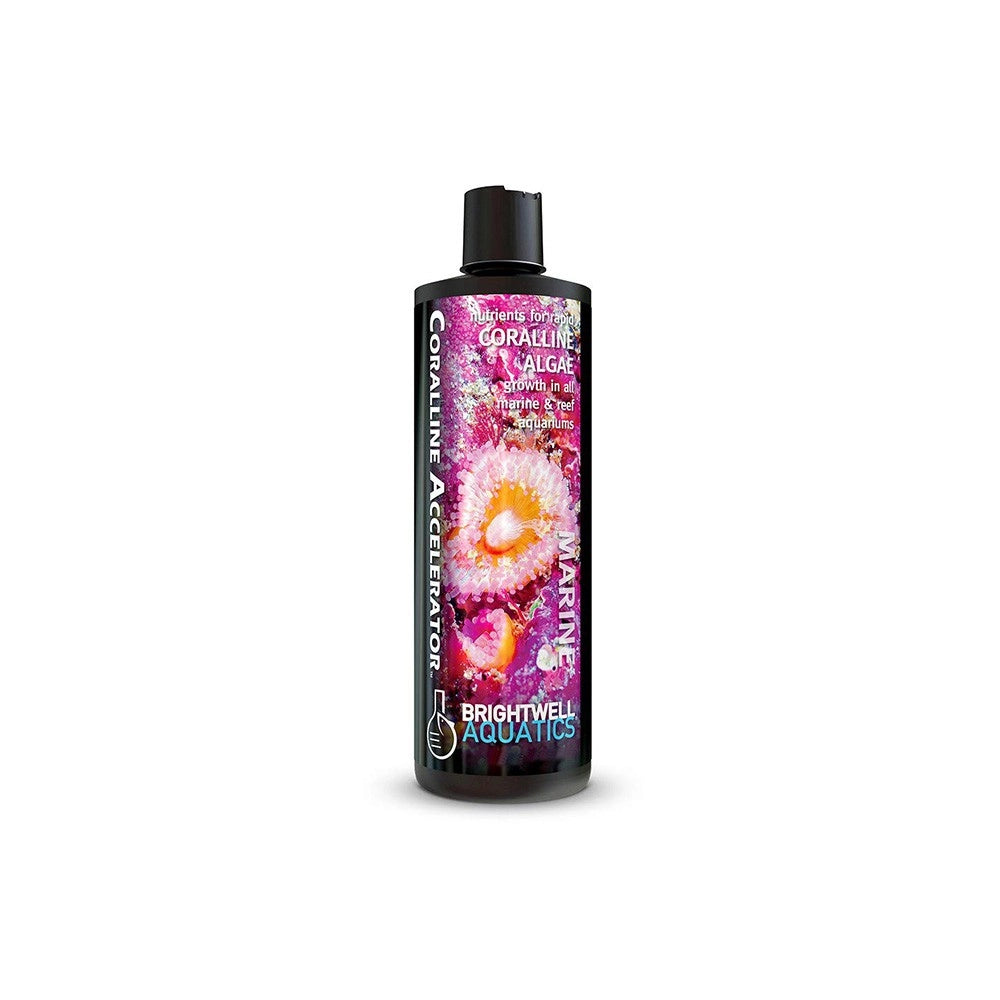 Brightwell Aquatics Coralline Accelerator - stimolatore di alghe coralline Formato: 500 ml