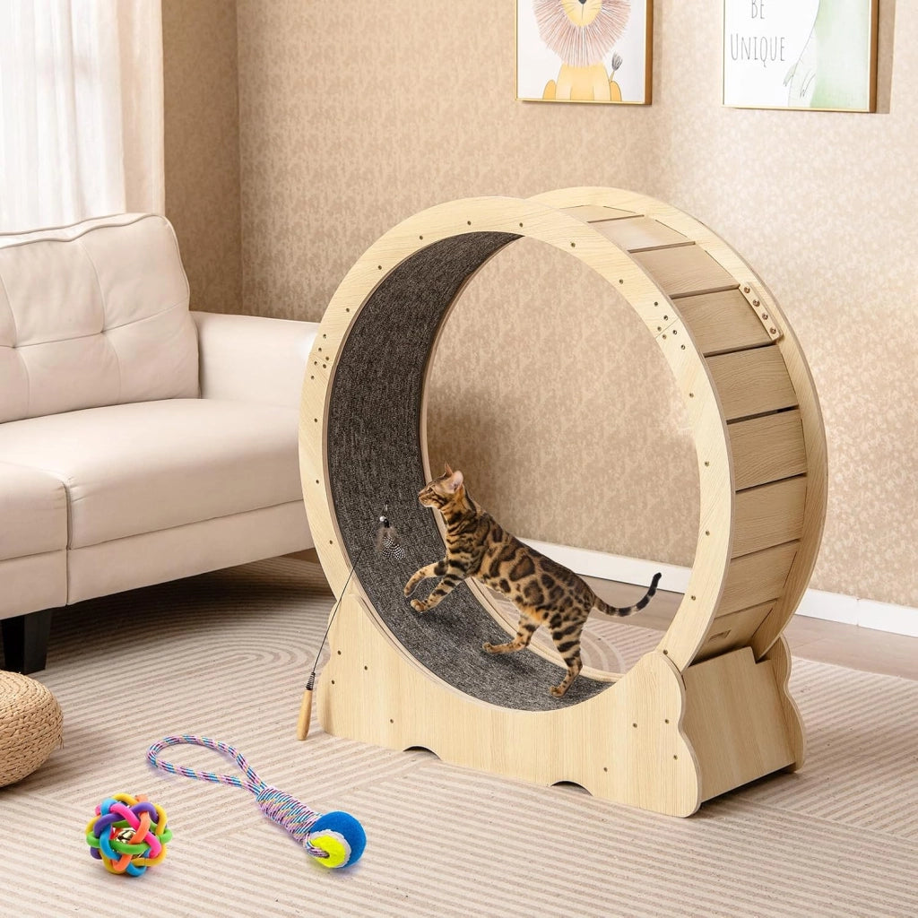 Ruota per Esercizio per Gatti da Interno 101 cm, Tapis Roulant per Gatti con Meccanismo di Blocco, Corsa con Moquette Rimovibile, Ruota di Allenamento in Legno a Rumore Ultra Basso