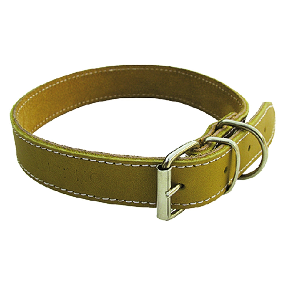 COLLARE PER CANE larg. mm 25 lung cm 50- 6 pezzi  - BricoGo