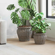 Cesto per Piante con archiviazione 2 pcs Grigio Rattan Lacak 42020959