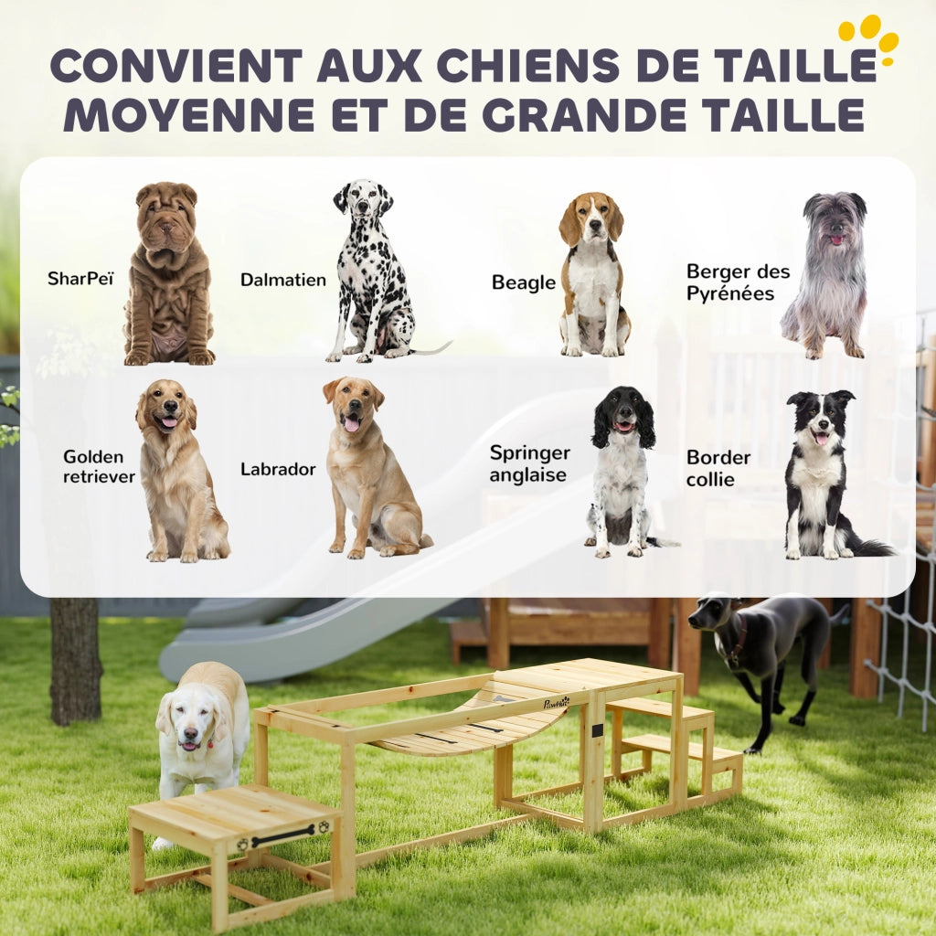 Kit Agilit¨¤ Cane 3 Pezzi ¨C zephmum ¨C Legno Massello Naturale